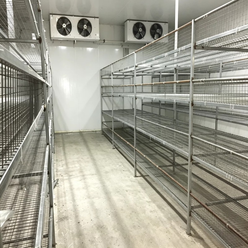 Otomatik Sulama Sistemli Hidro - Urban Farming Project incelemesi ve fiyatı